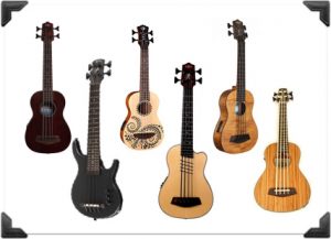 6 bass ukuleles