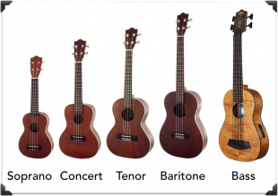 bass ukulele size