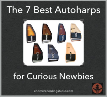 The 7 Best Autoharps 
