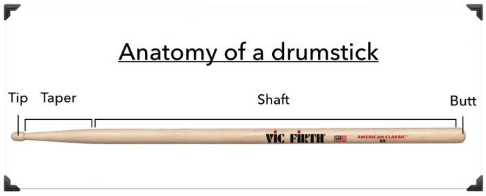 Anatomy of a drumstick