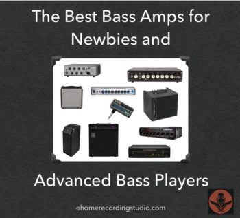 Bass Amps 101: The Ultimate Buyer's Guide