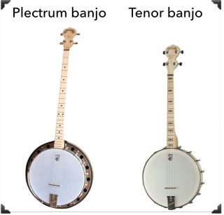 4 String Banjos