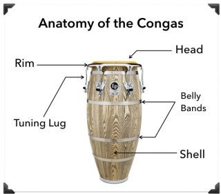 Anatomy of the Congas