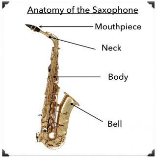 Anatomy of a Saxophone