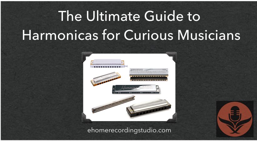 The Beginner's Guide to Harmonicas for Curious Newbies