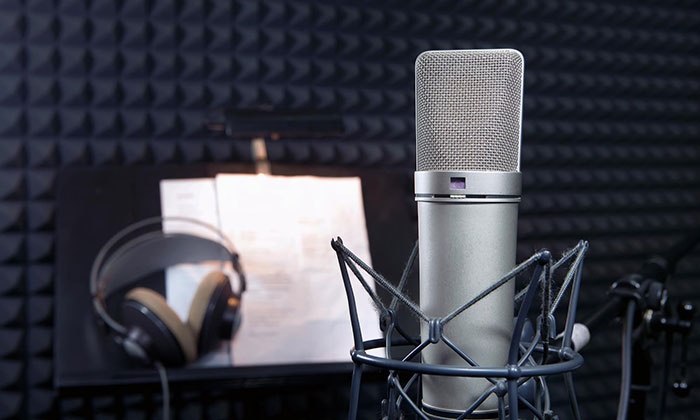 voiceover microphone