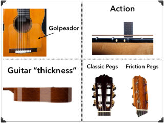 Classical and Flamenco Guitar Construction