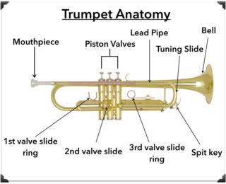 Anatomy of the Trumpet