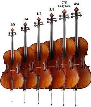 Cello Sizes