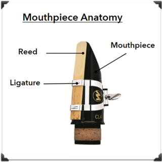 clarinet mouthpiece anatomy