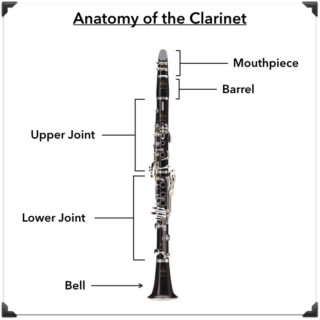Anatomy of the Clarinet