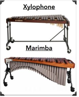 marimbas vs xylophones