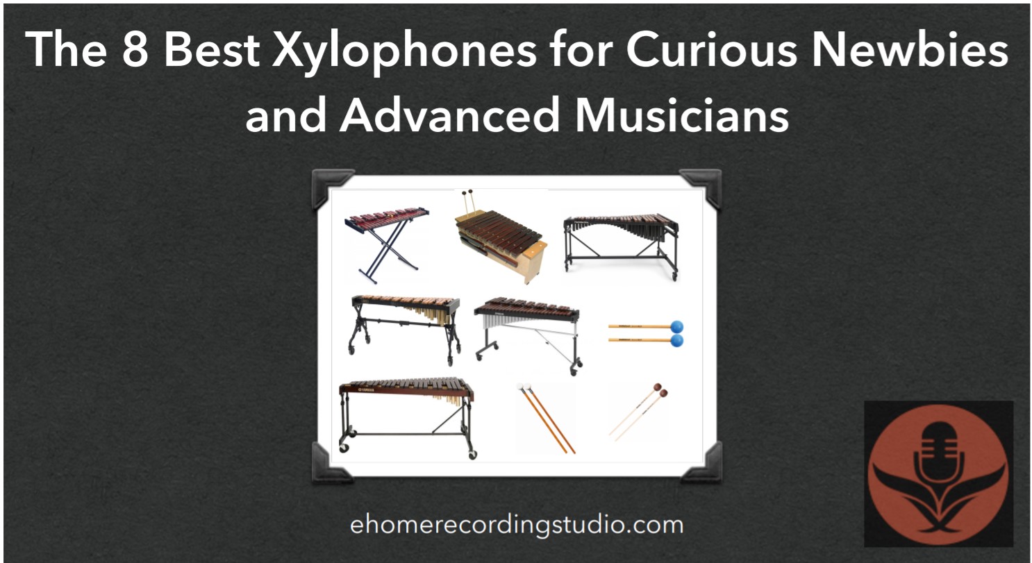 Xylophones 101 The Ultimate Buyer's Guide for Musicians