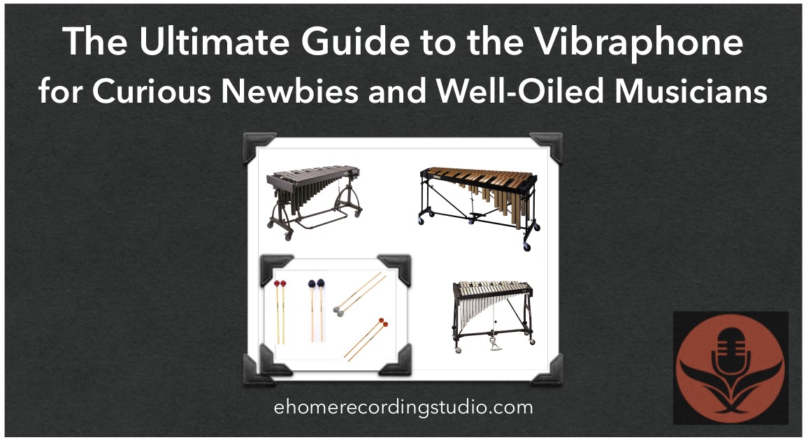 Vibraphones 101 The Ultimate Guide for Young Percussionists