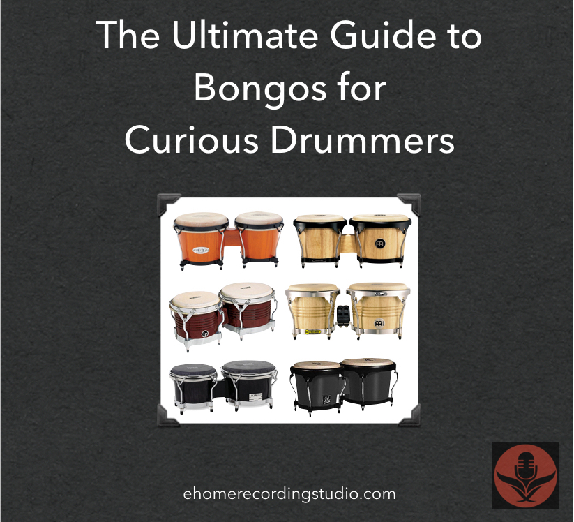 Bongos 101 The Ultimate Buyers Guide for Musicians