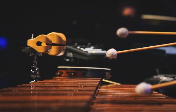 Xylophones 101: The Ultimate Buyer's Guide for Musicians
