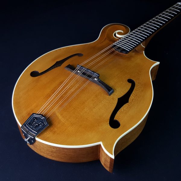 Best Mandolins 2024 Ultimate Buyer's Guide for Prolific Musicians